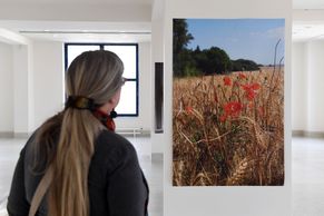 Dávají smysl až jako celek. Národní galerie vystavuje fotografie Othové