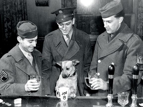 Originální pivo ve válečné Anglii totiž bylo ke zděšení někdejších československých vojáků teplé, nakyslé, bez pěny -  nemělo žádný říz.