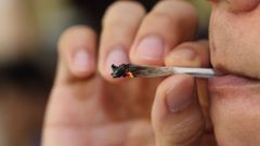 Marihuana